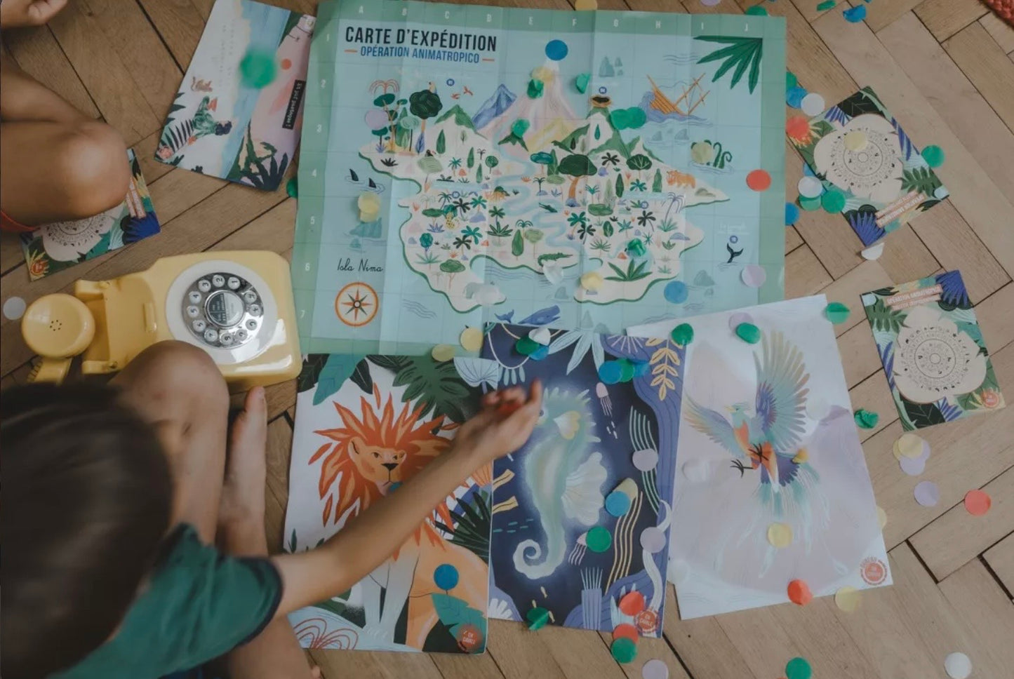 L enquete anniversaire - Les animaux tropicaux