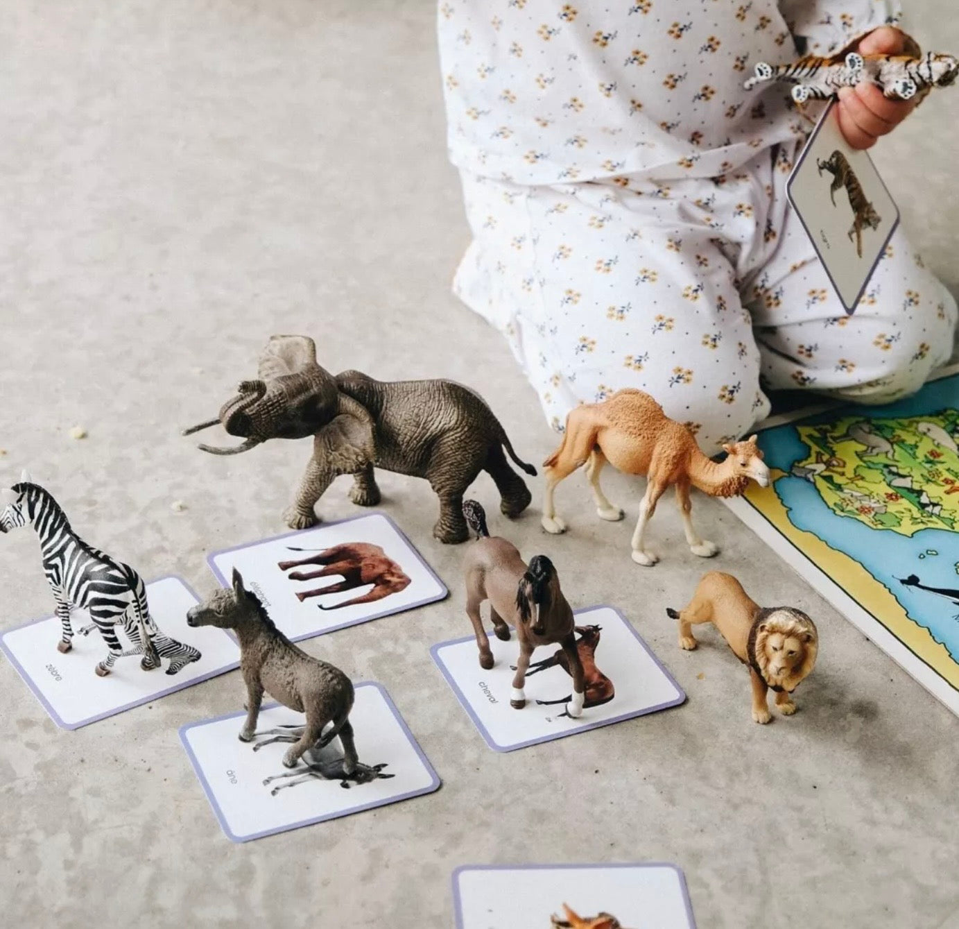 Mini-Mondy, coffret multi-jeux - Animaux