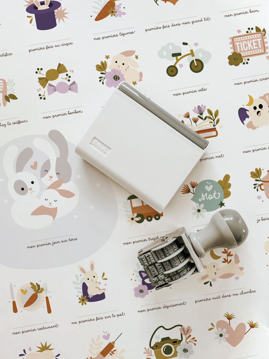 Affiche "Mes premières fois" - Lapin