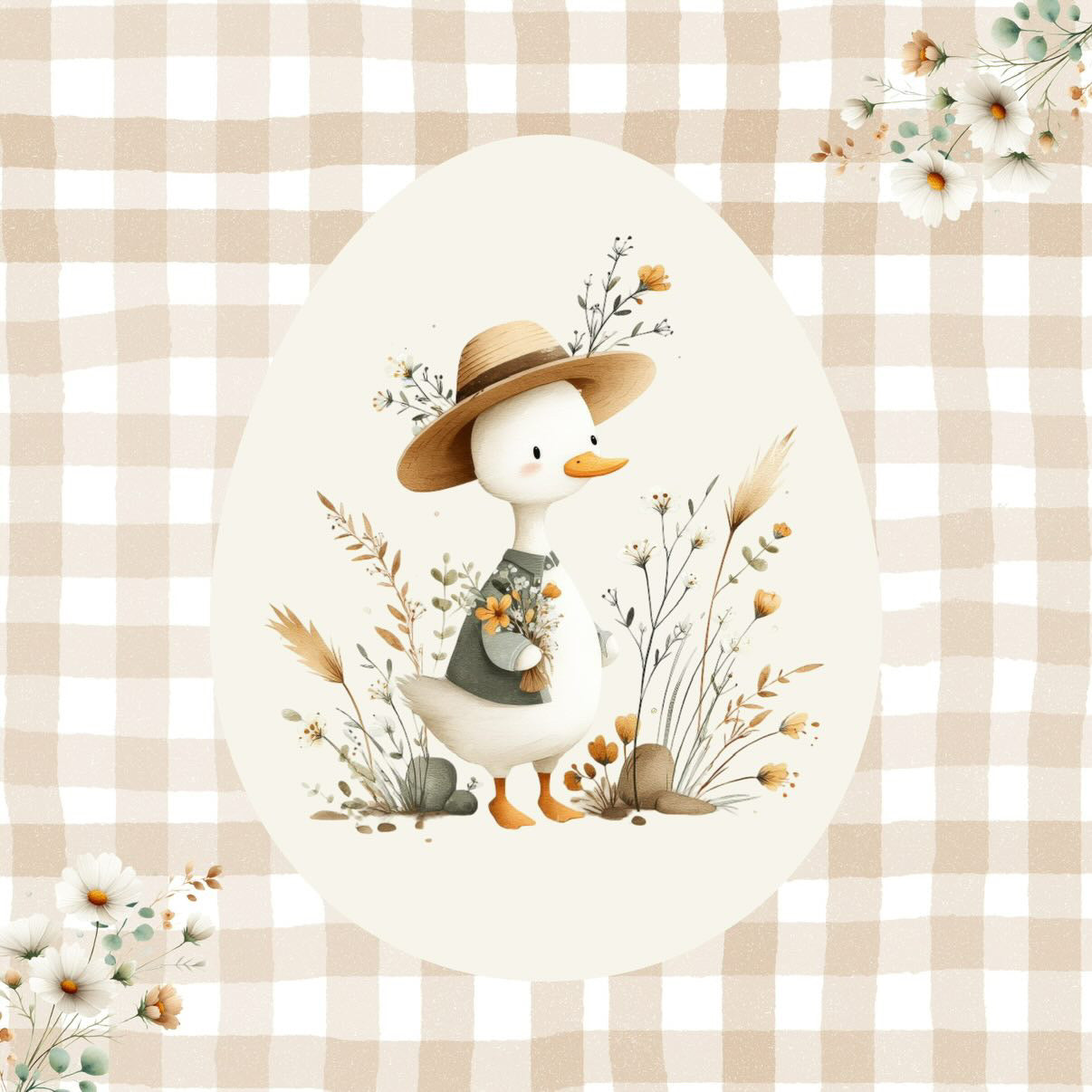 Film protecteur Tonies - Stickers personnalisable - Canneton