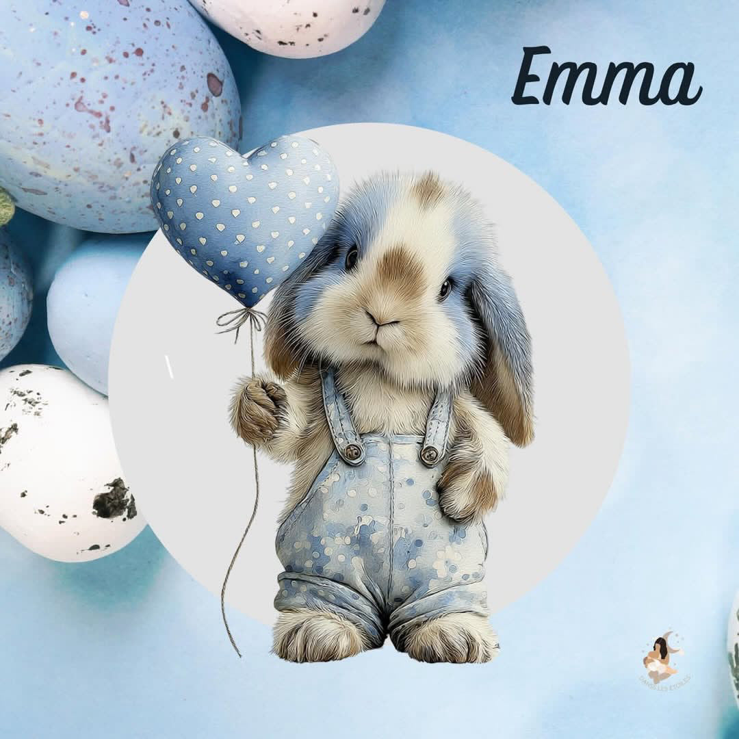 Film protecteur Tonies - Stickers personnalisable - lapin