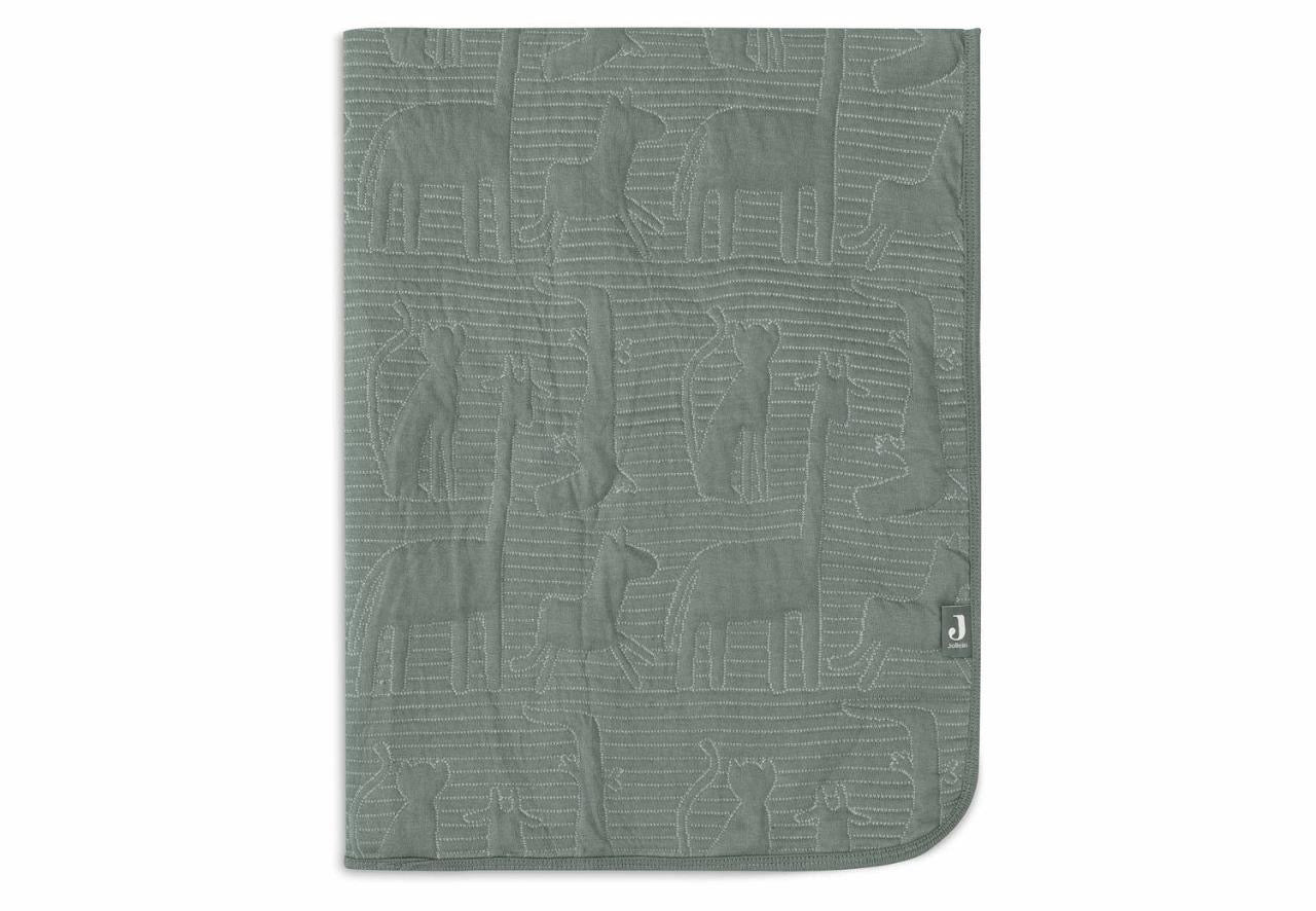 Couverture - jungle jambo
