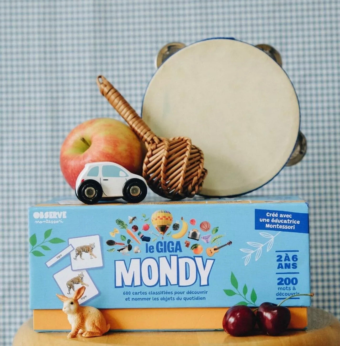 Giga Mondy, coffret multi-jeux (cartes de vocabulaire) - précommande