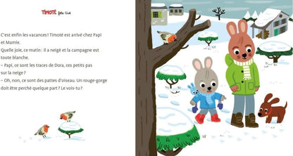 Un Noël avec Timote - cherche et trouve Noël