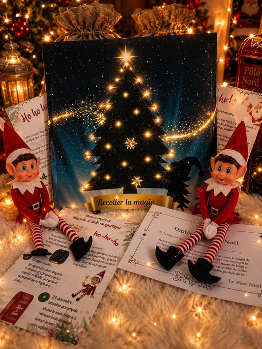 Box lutin magnétique : mission recoller la magie de Noël