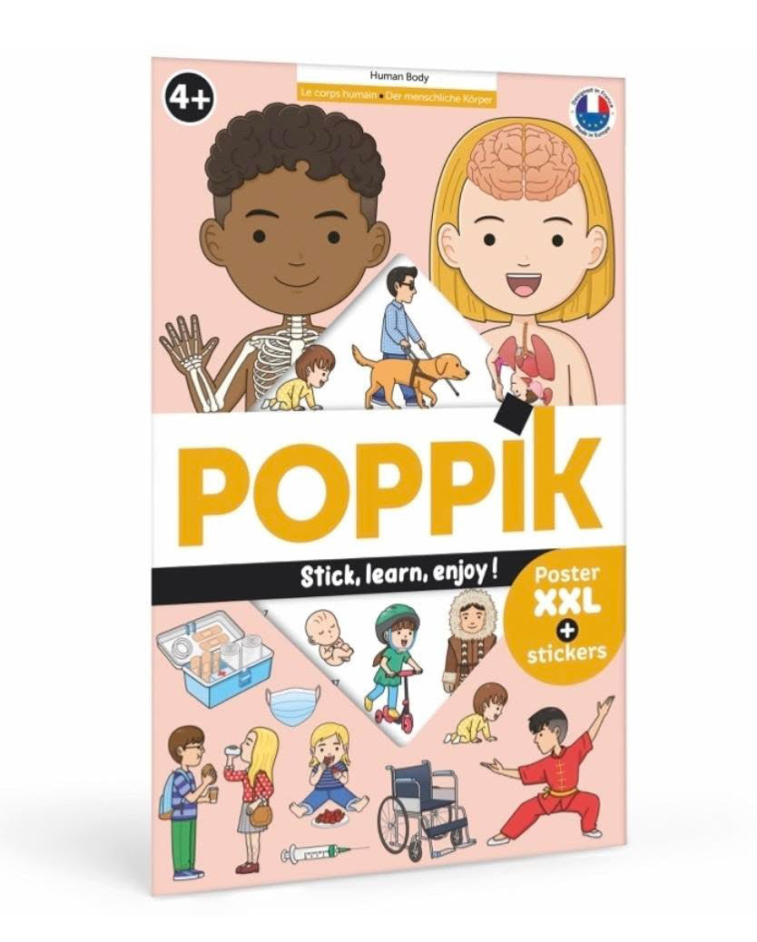 Poster en stickers le corps humain
