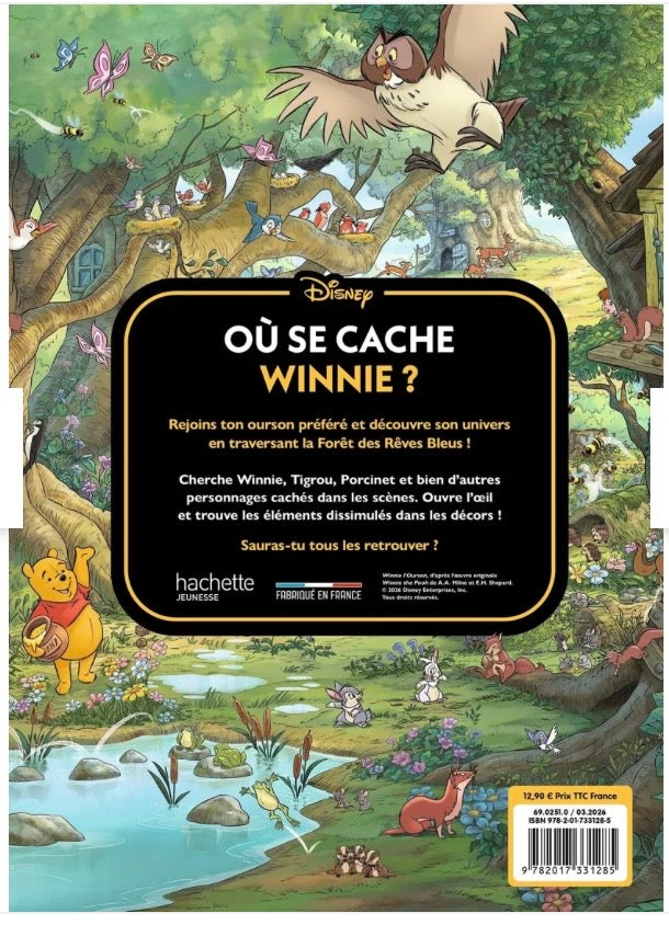WINNIE L'OURSON - Où se cache Winnie ? Cherche et Trouve - Disney