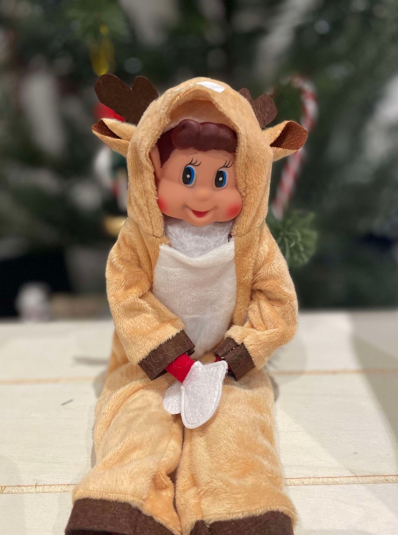 Costume Lutin Farceur Renne de Noël