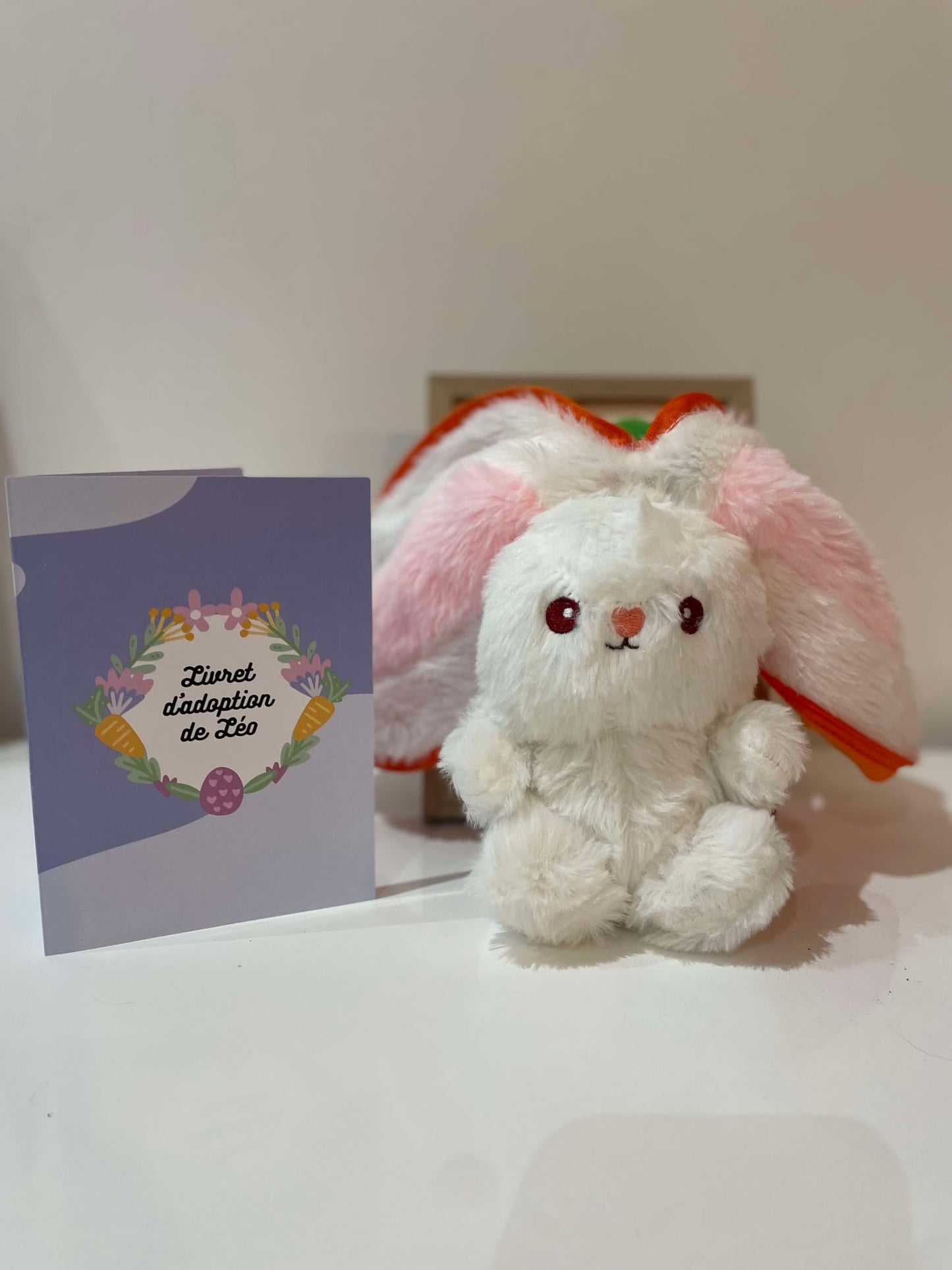 Box Pâques : Léo, le lapin du Royaume des Farces