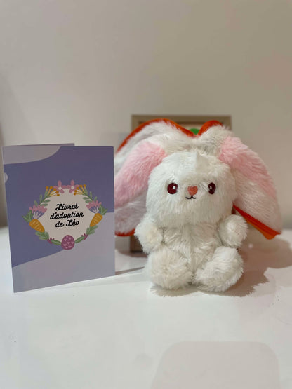 Box Pâques : Léo, le lapin du Royaume des Farces