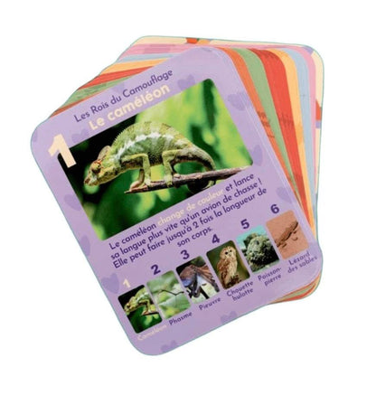 Jeu de 7 familles - Les Animaux Rigolos
