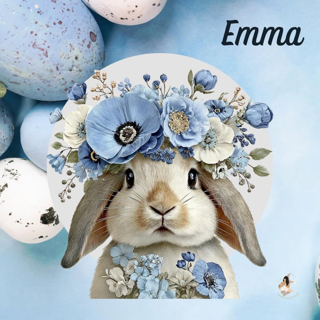 Film protecteur Tonies - Stickers personnalisable - lapin