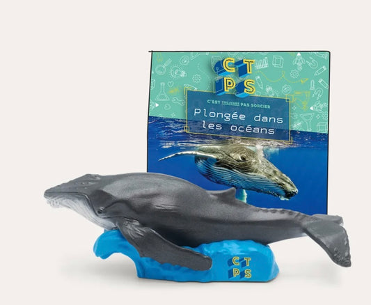 Plongée Dans Les Océans - C'est Toujours Pas Sorcier