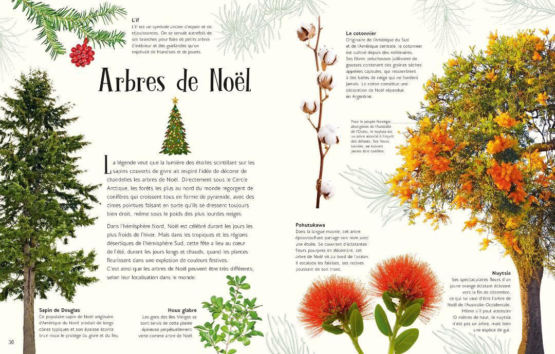 L'anthologie illustré de Noël