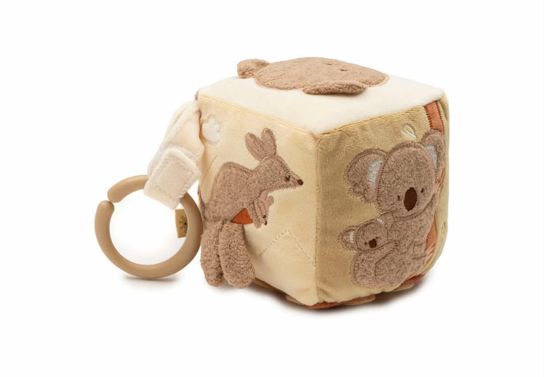 Cube d’activité - Kangaroots