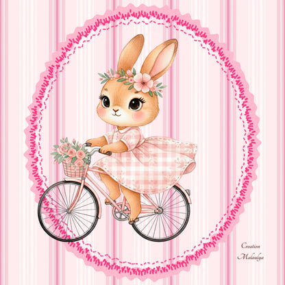 Film protecteur Tonies - Stickers personnalisable - lapin girly