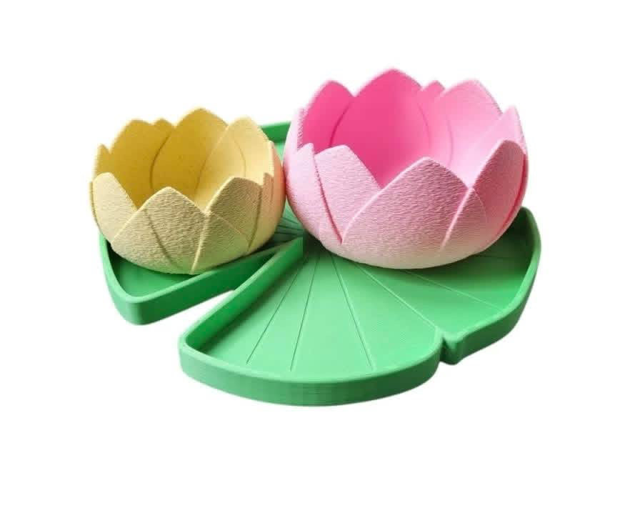 Kit nénuphars et lotus