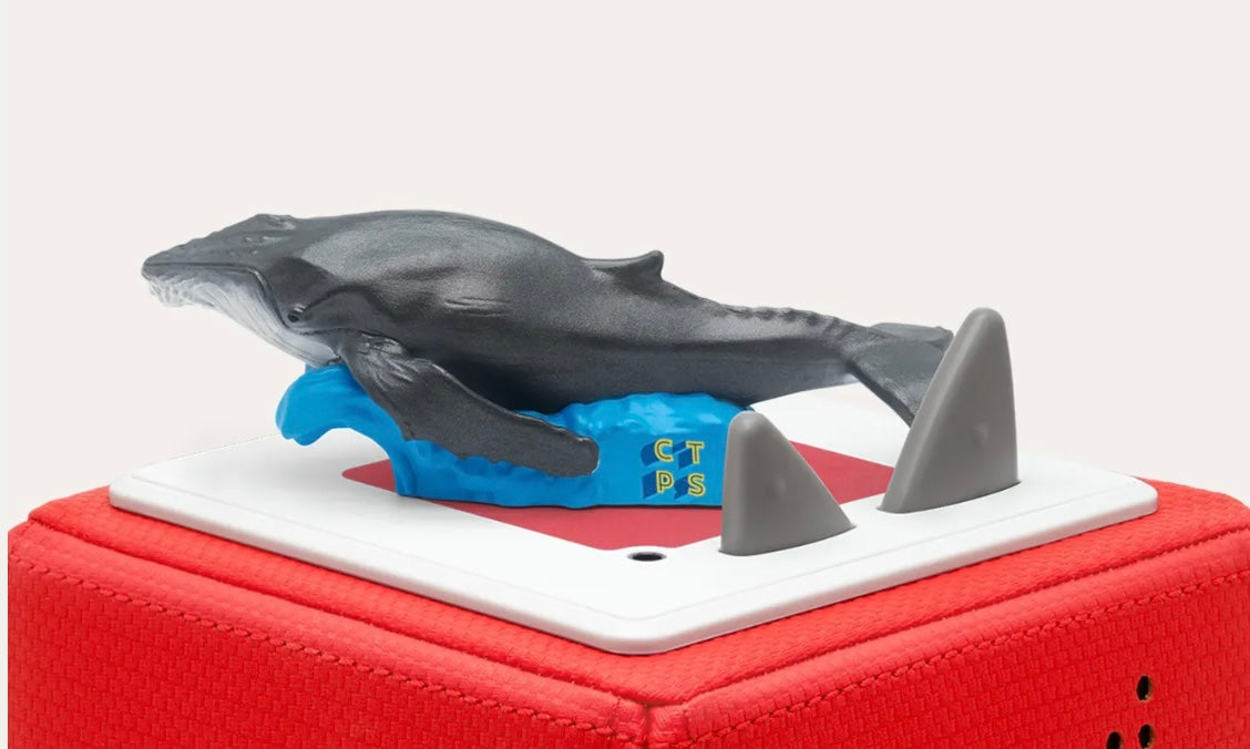 Plongée Dans Les Océans - C'est Toujours Pas Sorcier