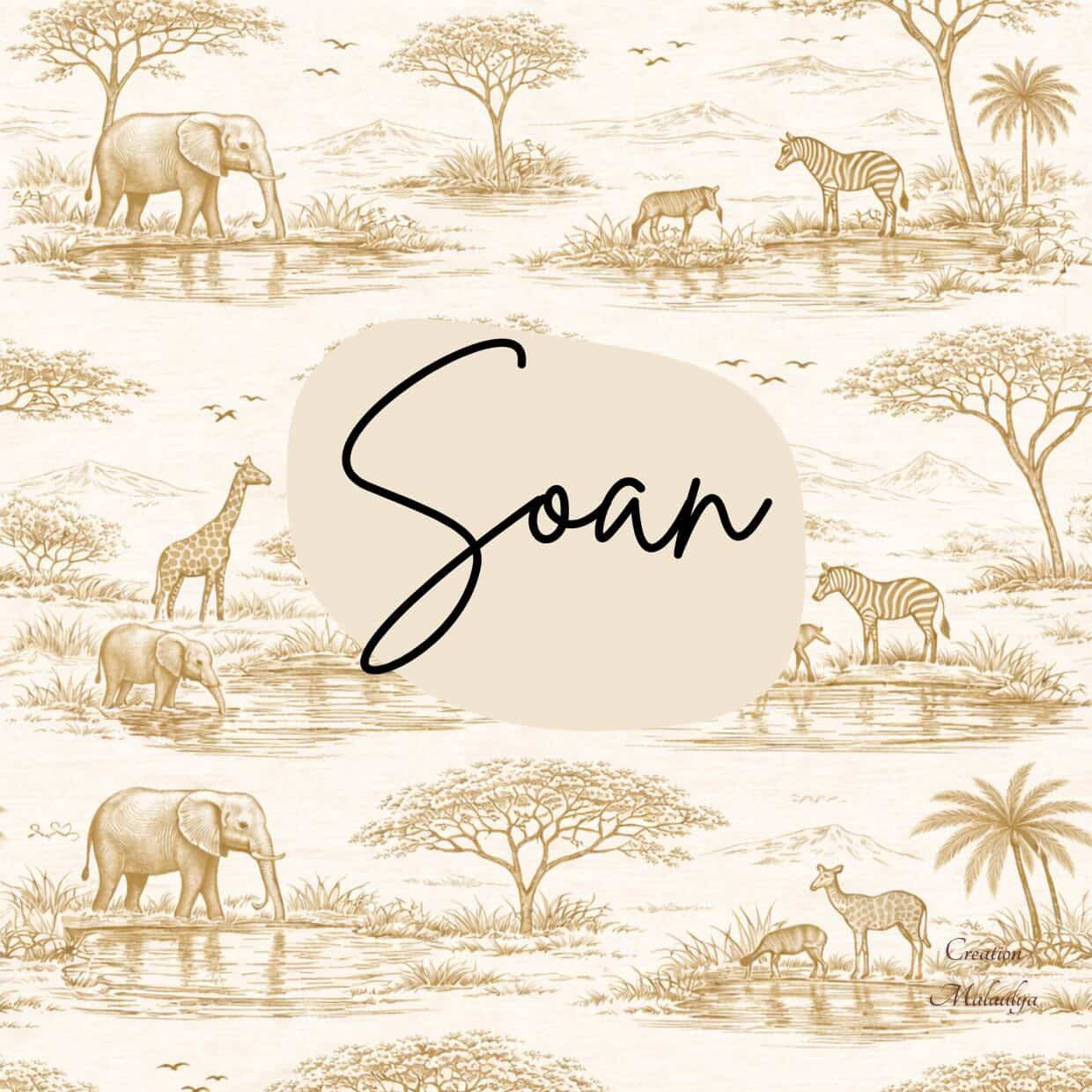 Film protecteur Tonies - Stickers personnalisable - Toile de Jouy
