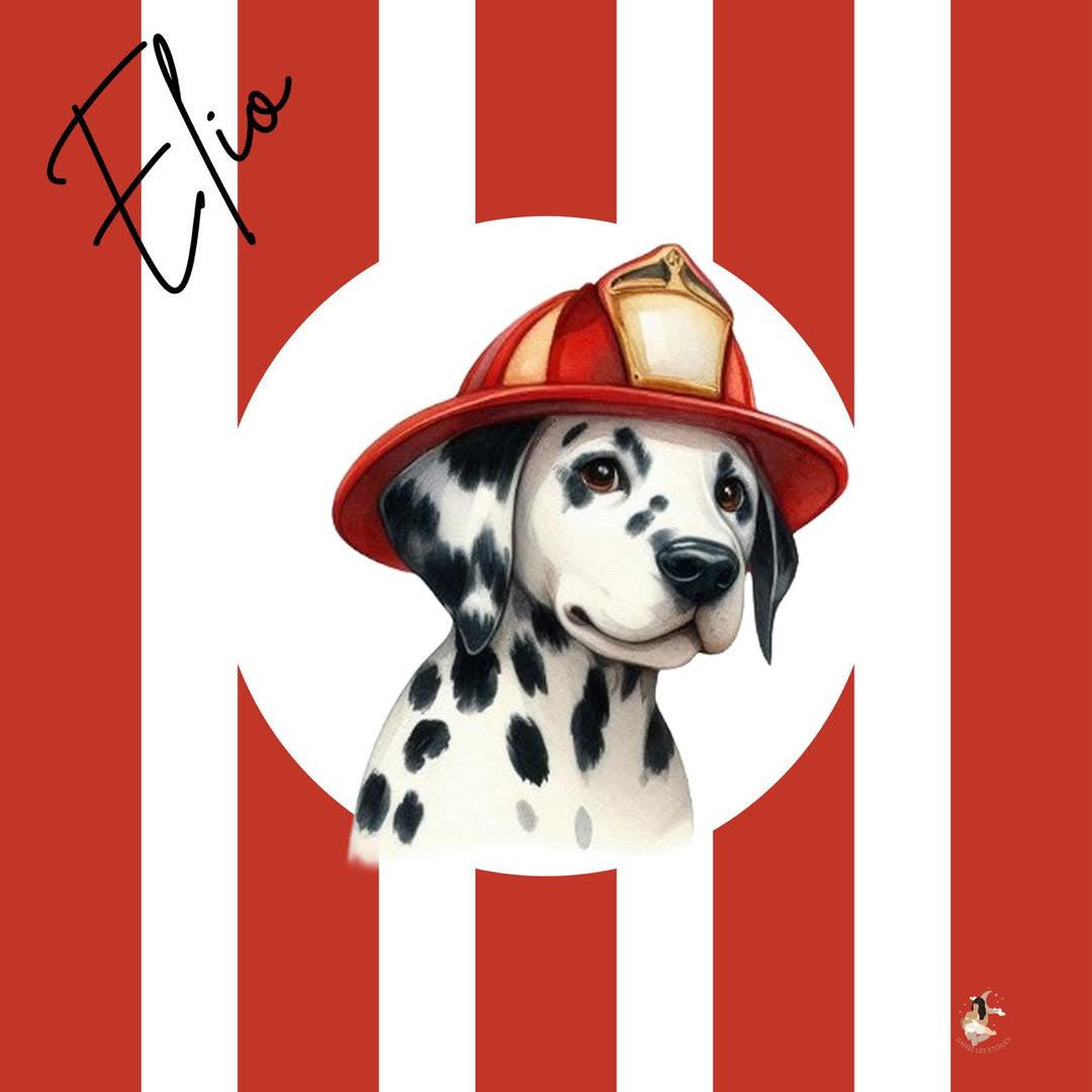 Film protecteur Tonies - Stickers personnalisable - chiens