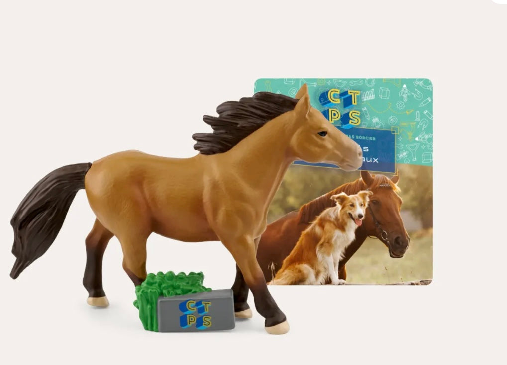 Nos Amis Les Animaux - C'est Toujours Pas Sorcier