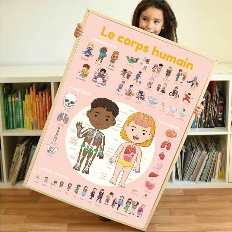 Poster en stickers le corps humain