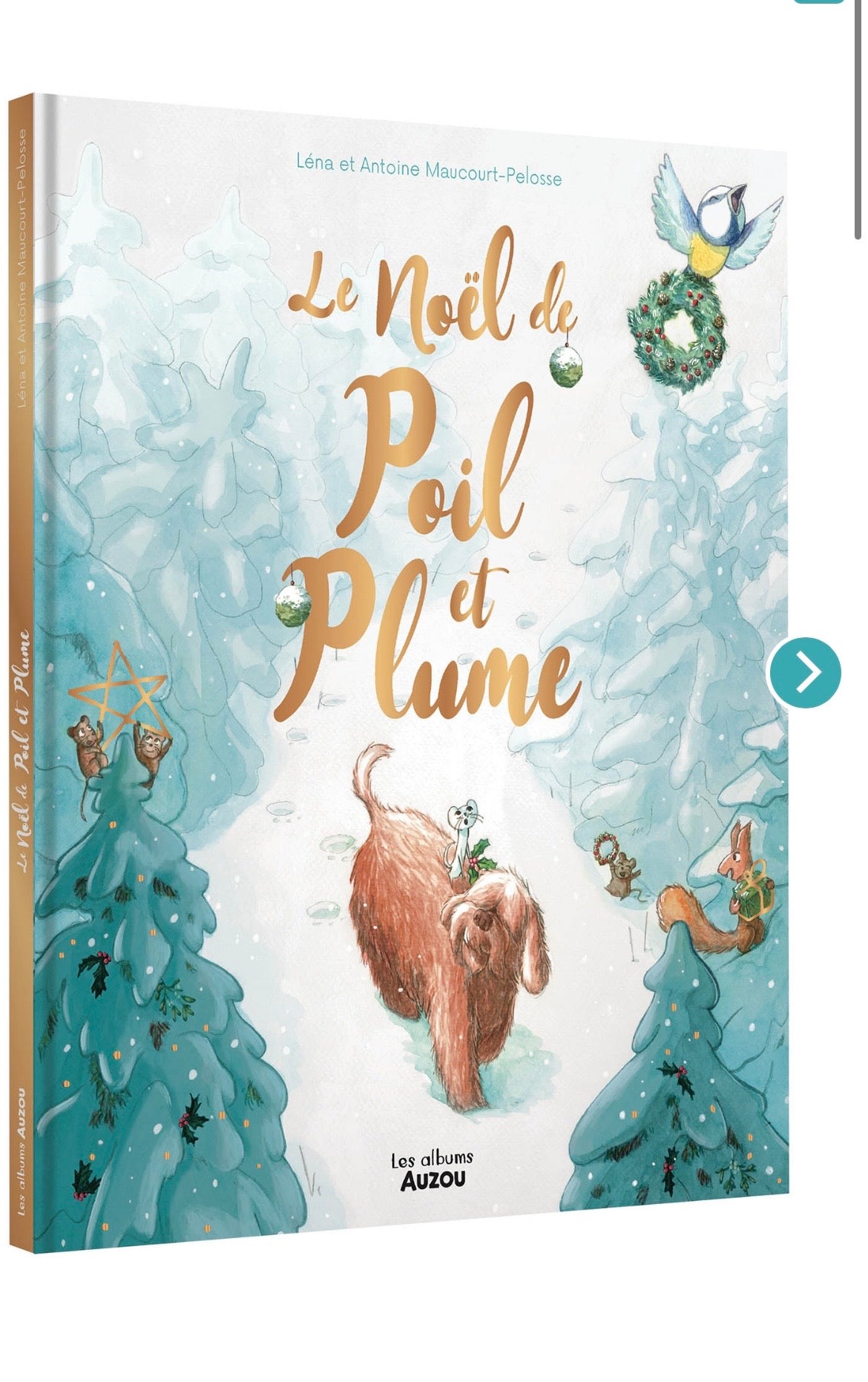 LE NOËL DE POIL ET PLUME