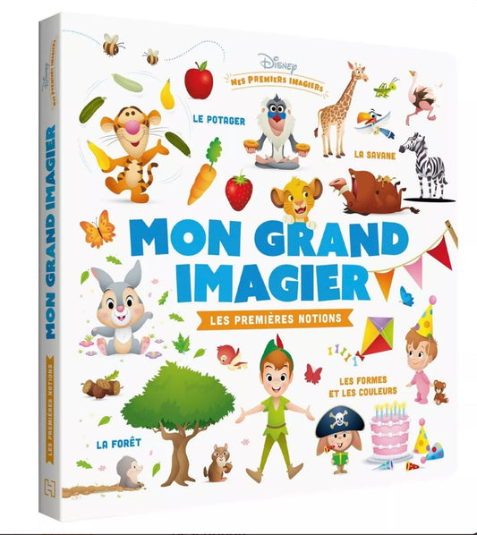 LIVRE - DISNEY BABY - Mon grand imagier des premières notions