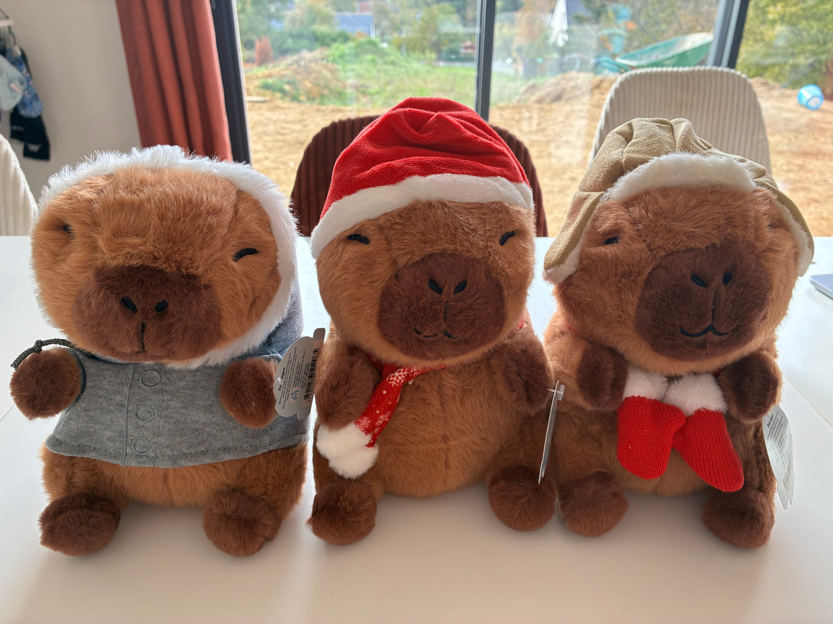 Capybara peluche - 10 modèles