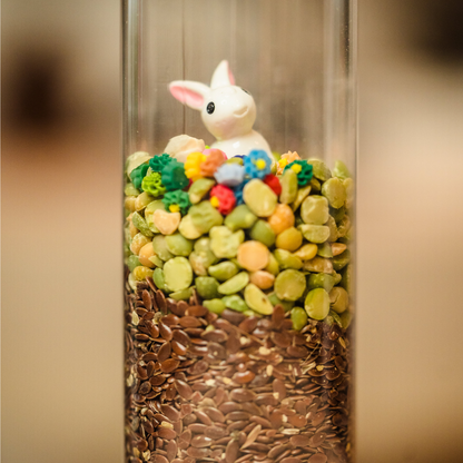 Bouteilles sensorielles LAPIN